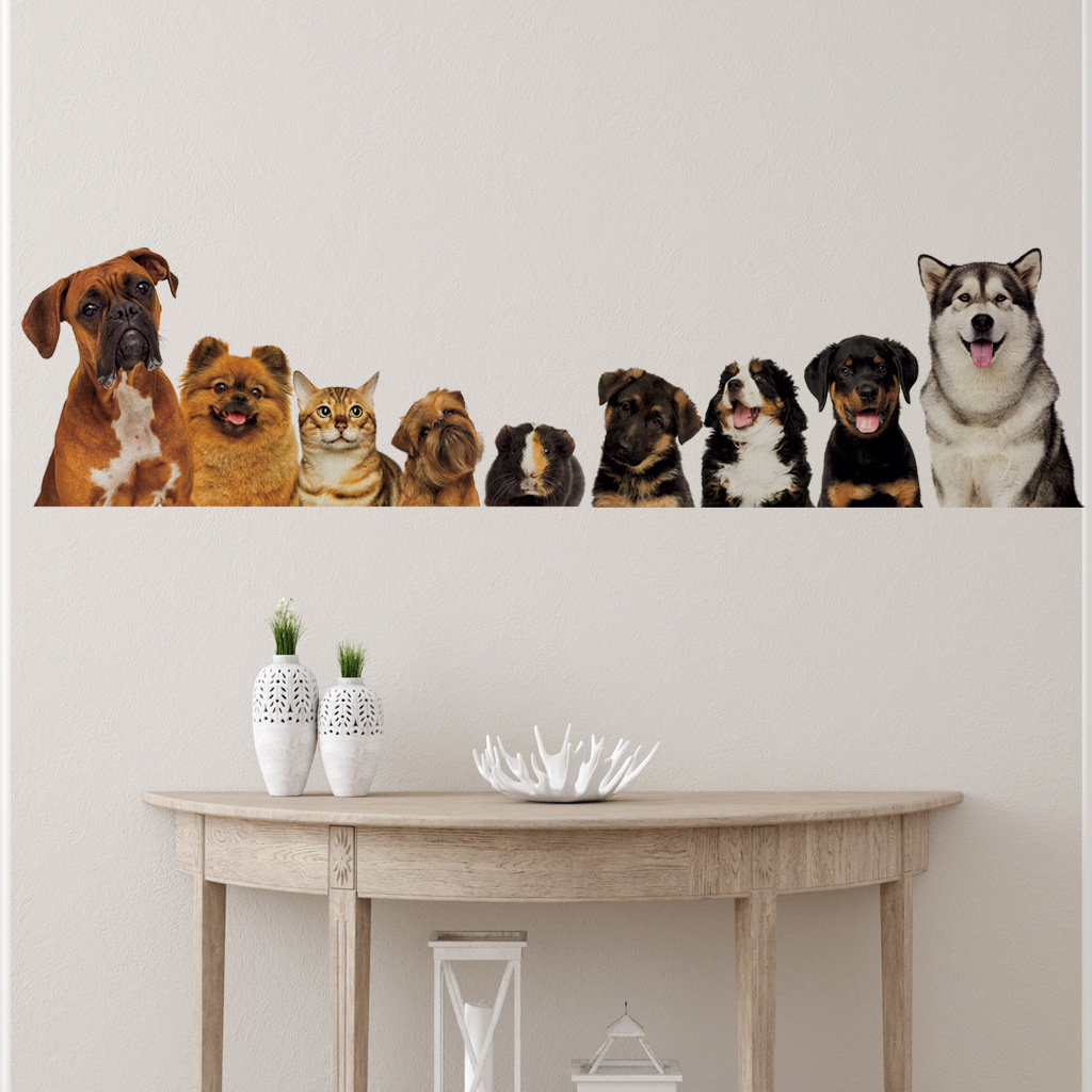 C30# 9 Cute Cats And Dogs Wall - Kids Education Quotes recension och pris