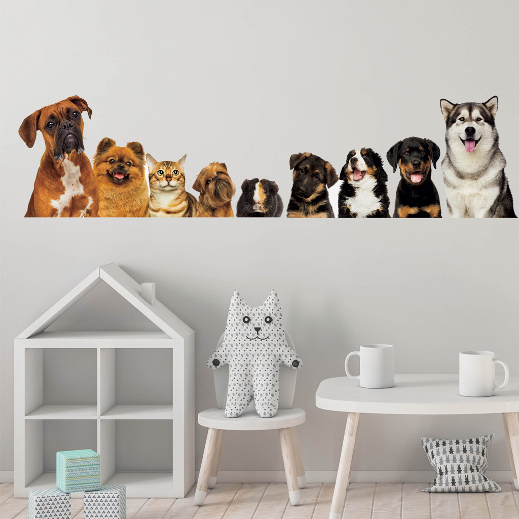 C30# 9 Cute Cats And Dogs Wall - Kids Education Quotes recension och pris