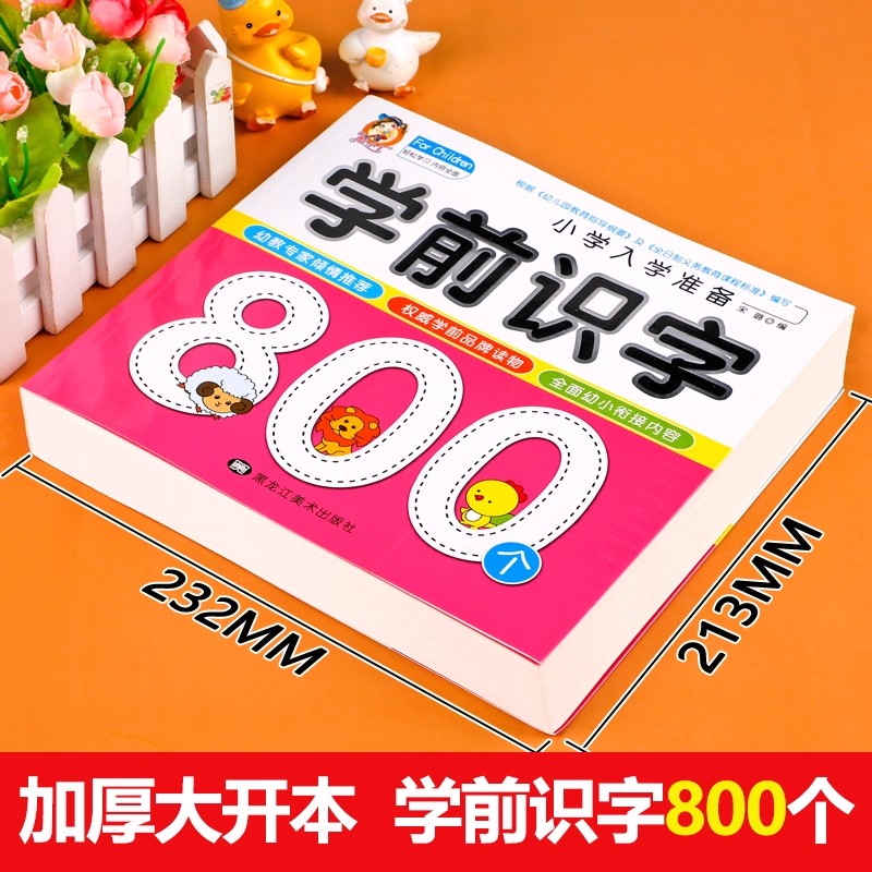 Preschool Literacy: 800 Chines - Kids Education Books recension och pris